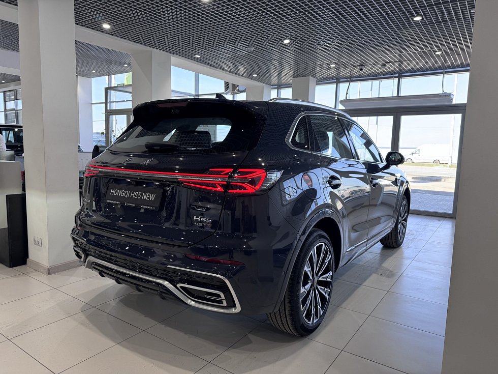 Hongqi HS5 Делюкс (Deluxe), коричневый